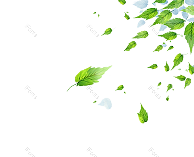 叶子图片,装饰元素,夏天PNG,绿叶免抠素材